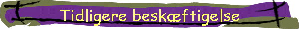 Tidligere beskftigelse