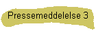 Pressemeddelelse 3
